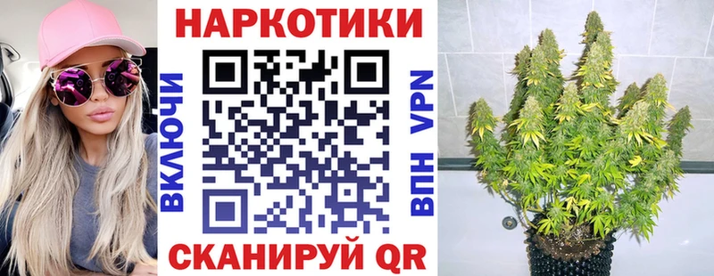 Наркота Солнечногорск COCAIN  СК  Псилоцибиновые грибы  ГАШИШ  Канабис 